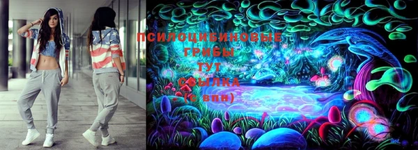СК Кодинск